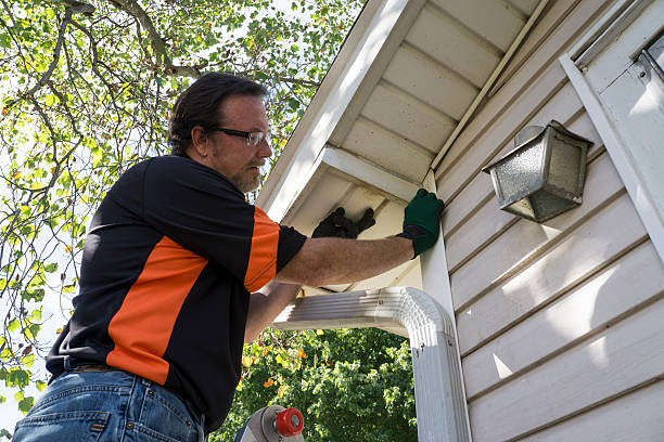 Trusted Auburn, NY Siding Services Experts